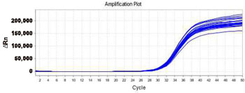 High-pressure homogenizer Test Report 1